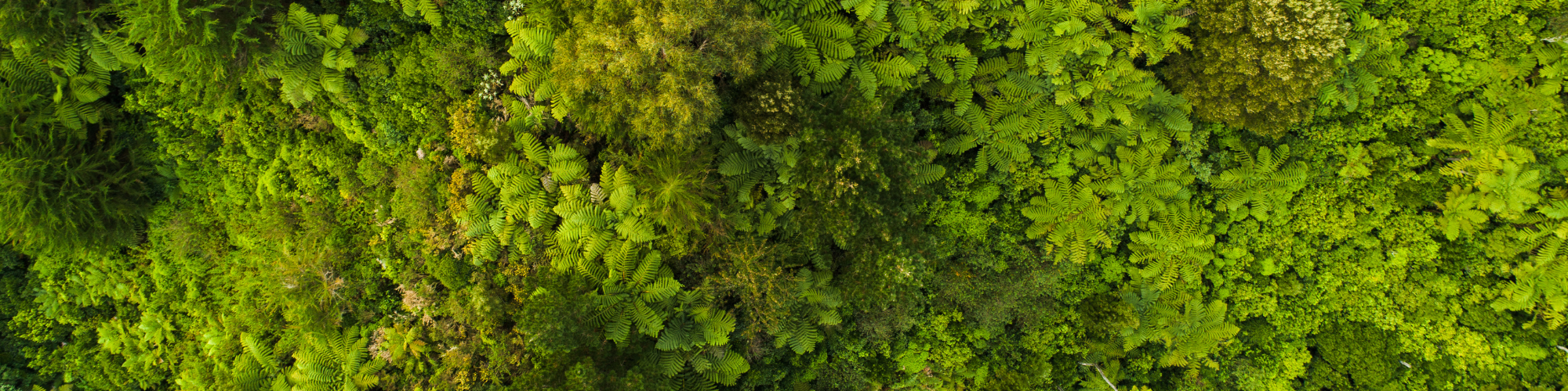 Namnlös design (8).png